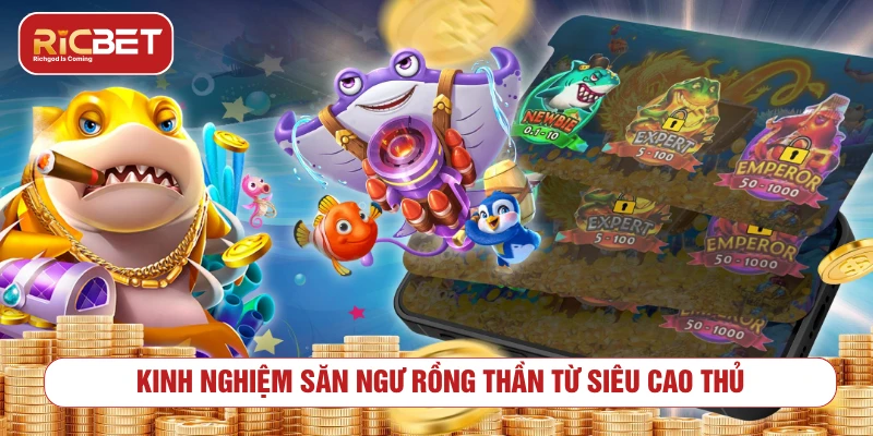 Bắn Cá Rồng Thần – Chinh Phục Thần Long, Săn Thưởng Jackpot Kinh nghiệm săn ngư rồng thần từ siêu cao thủ