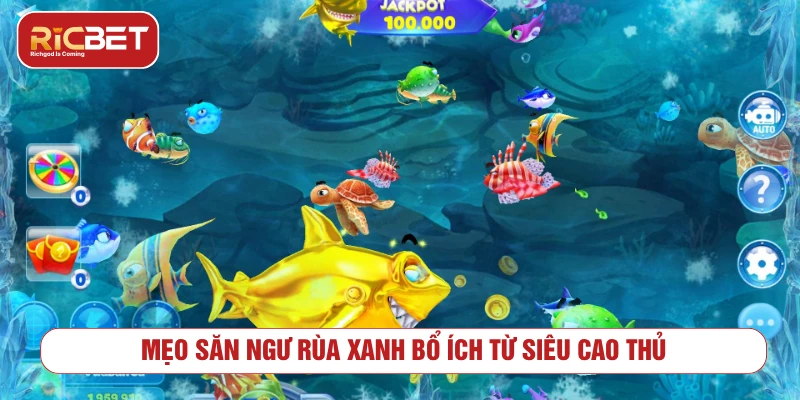 Bắn Cá Rùa Xanh – Bí Kíp Chinh Phục Boss Lớn Săn Thưởng Khủng Mẹo săn ngư rùa xanh bổ ích từ siêu cao thủ